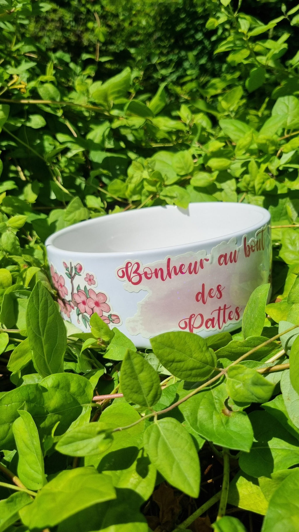  Gamelle - Motif Sakura 
