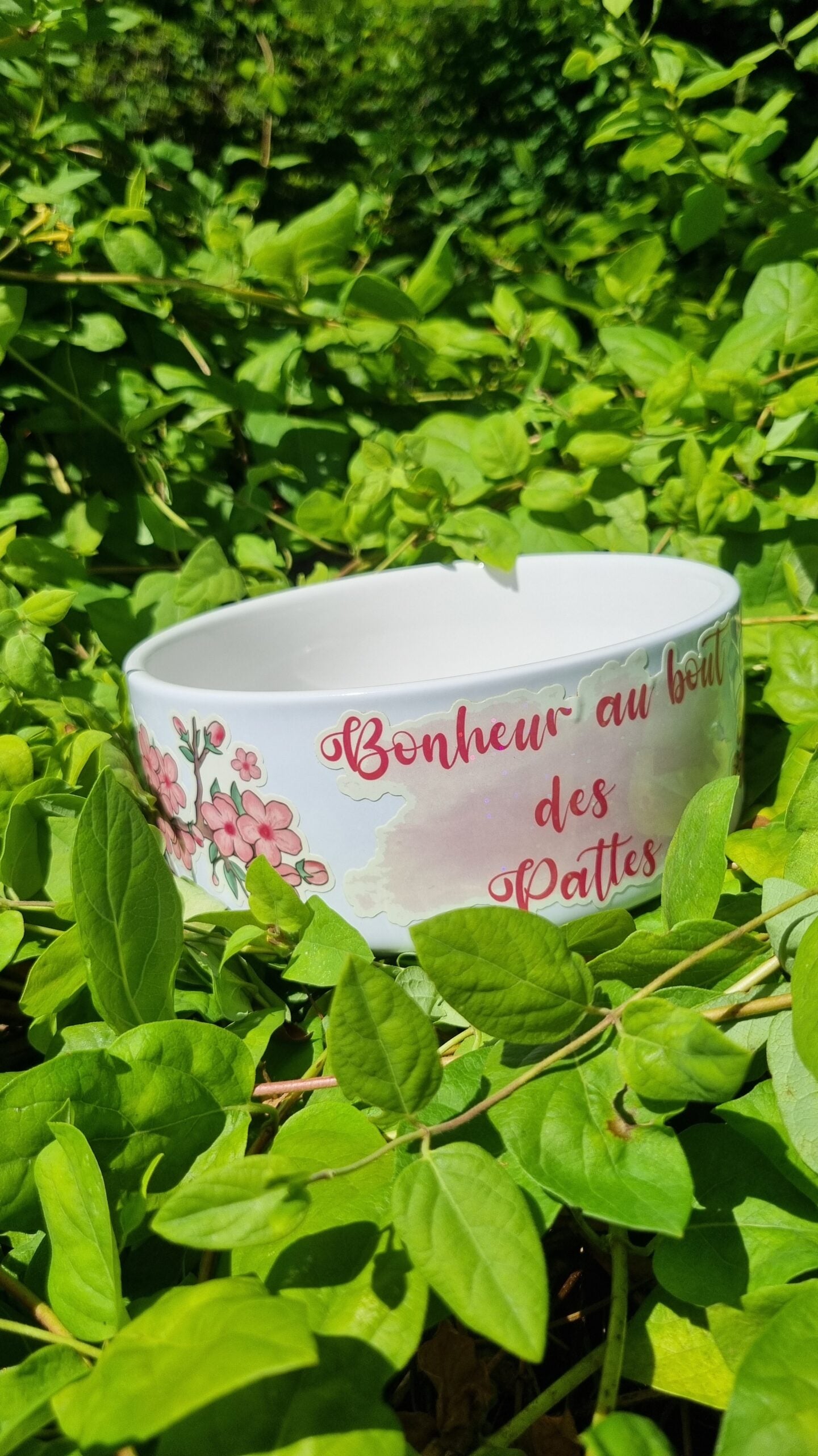  Gamelle - Motif Sakura 