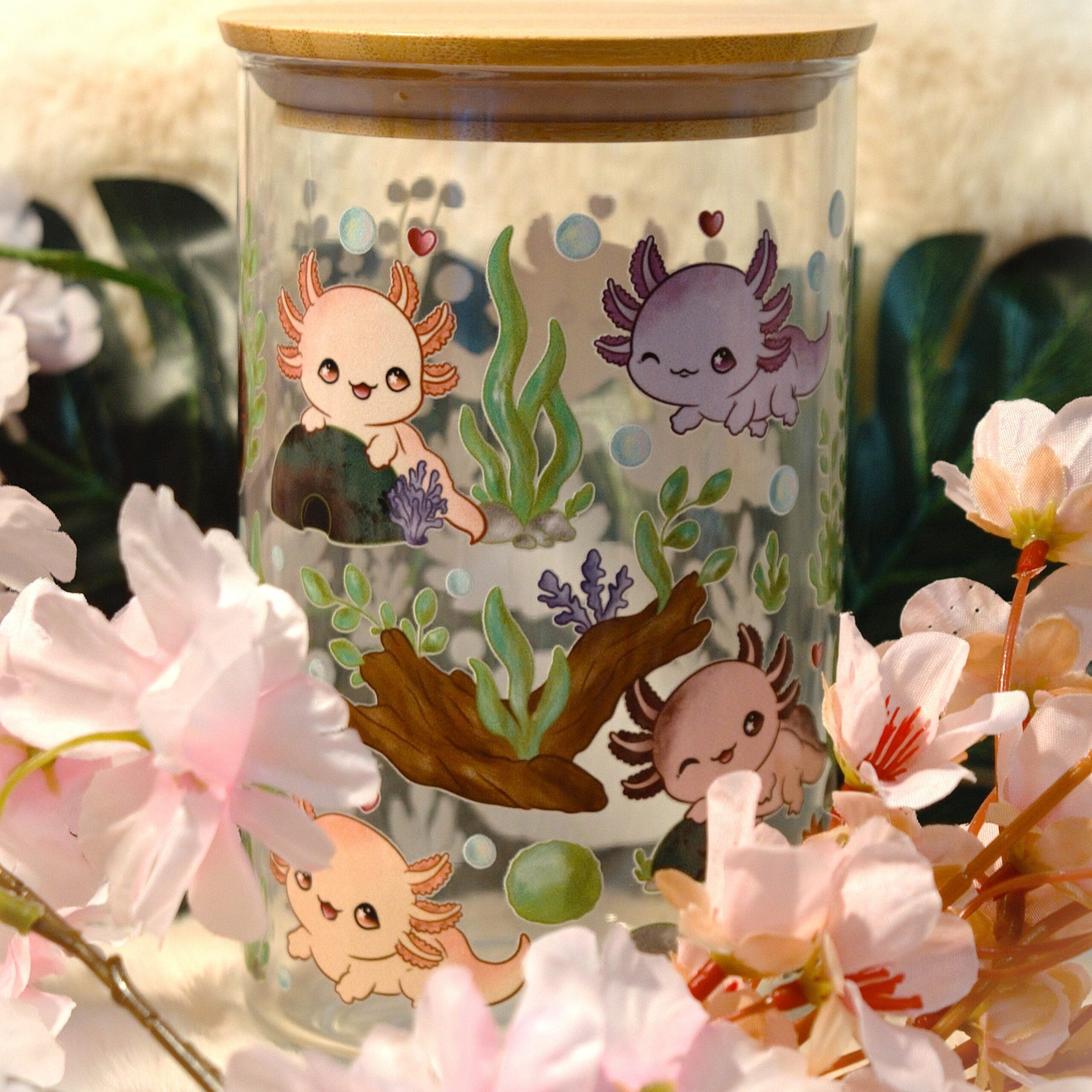  Axo-Box  Box Axolotl 