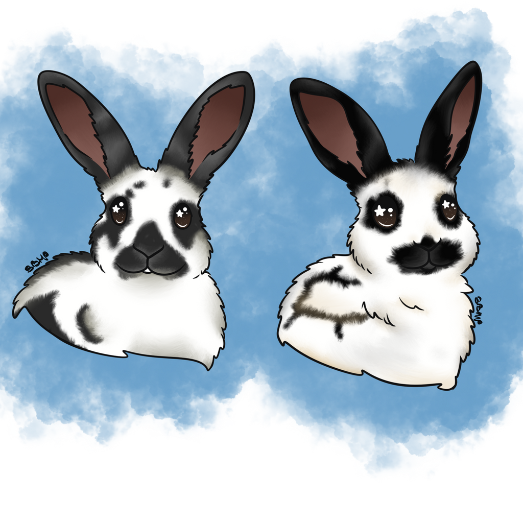  Illustration semi réaliste 