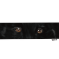  Illustration Regard Semi-Réaliste de Votre Animal  Numérique