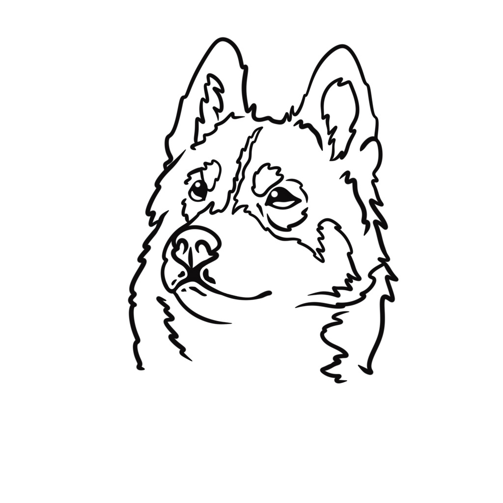  Illustration personnalisée en One Line / Line Art 