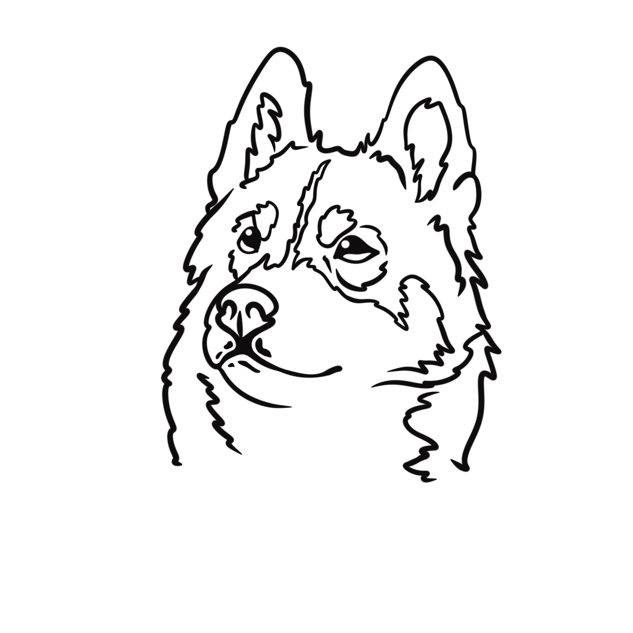  Illustration personnalisée en One Line / Line Art 