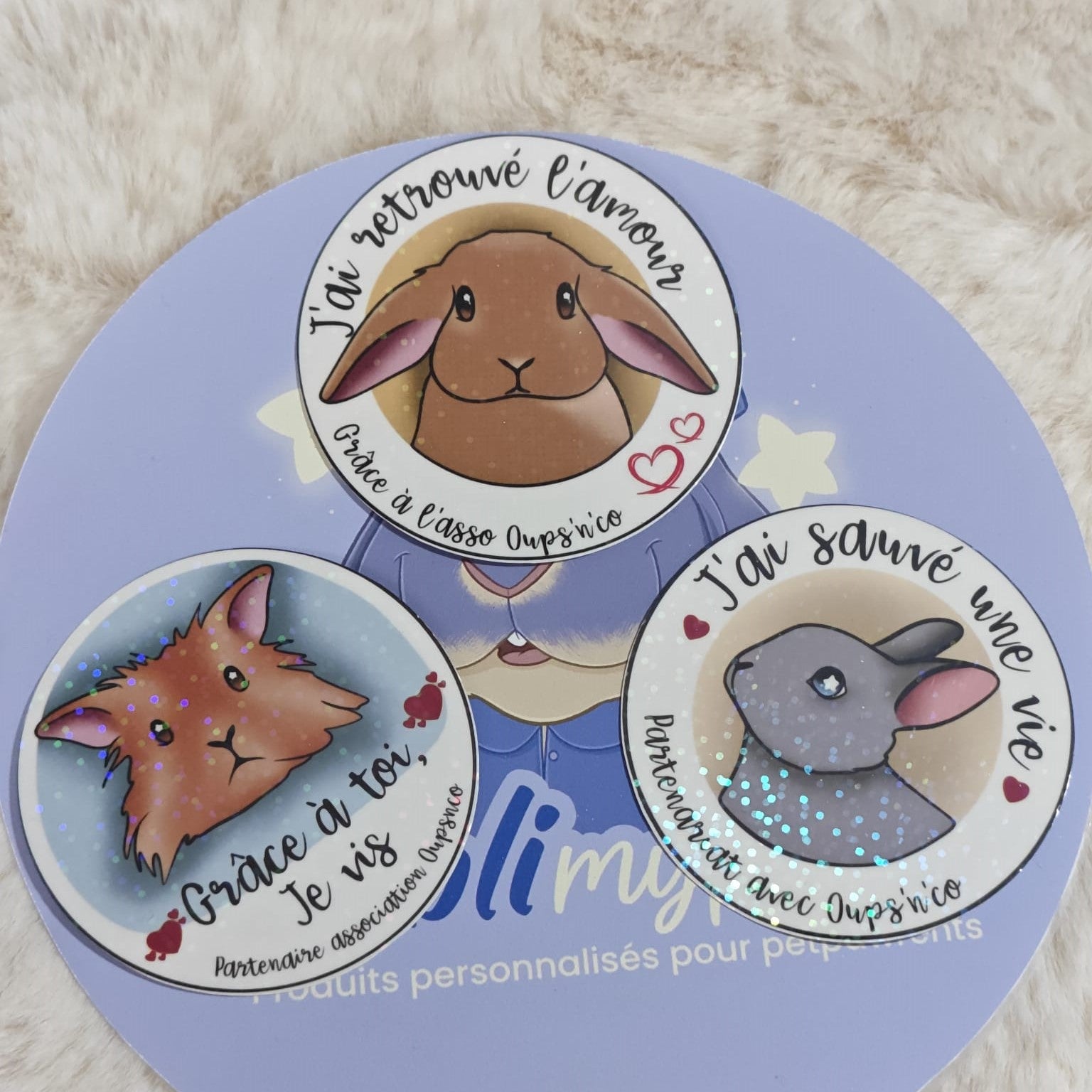 Stickers en partenariat avec l'asso oups'n'co 