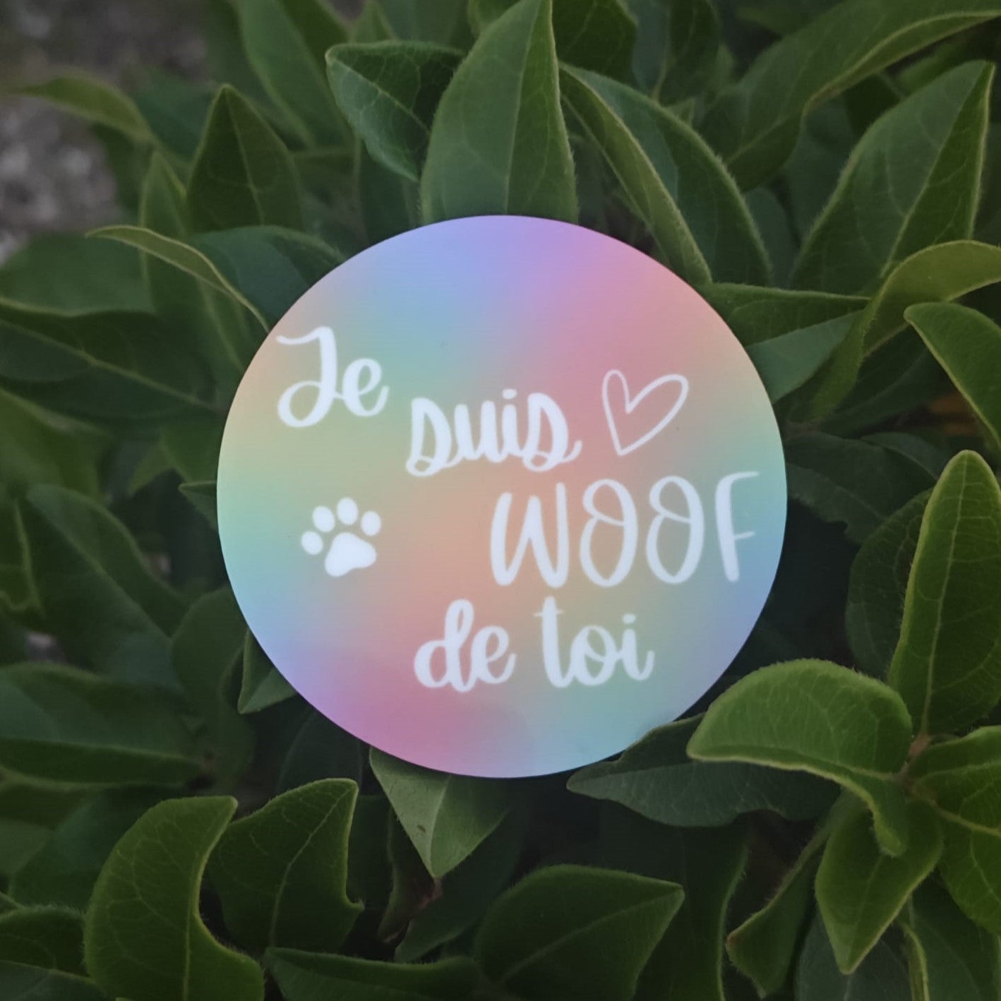 Magnet " Woof de toi "