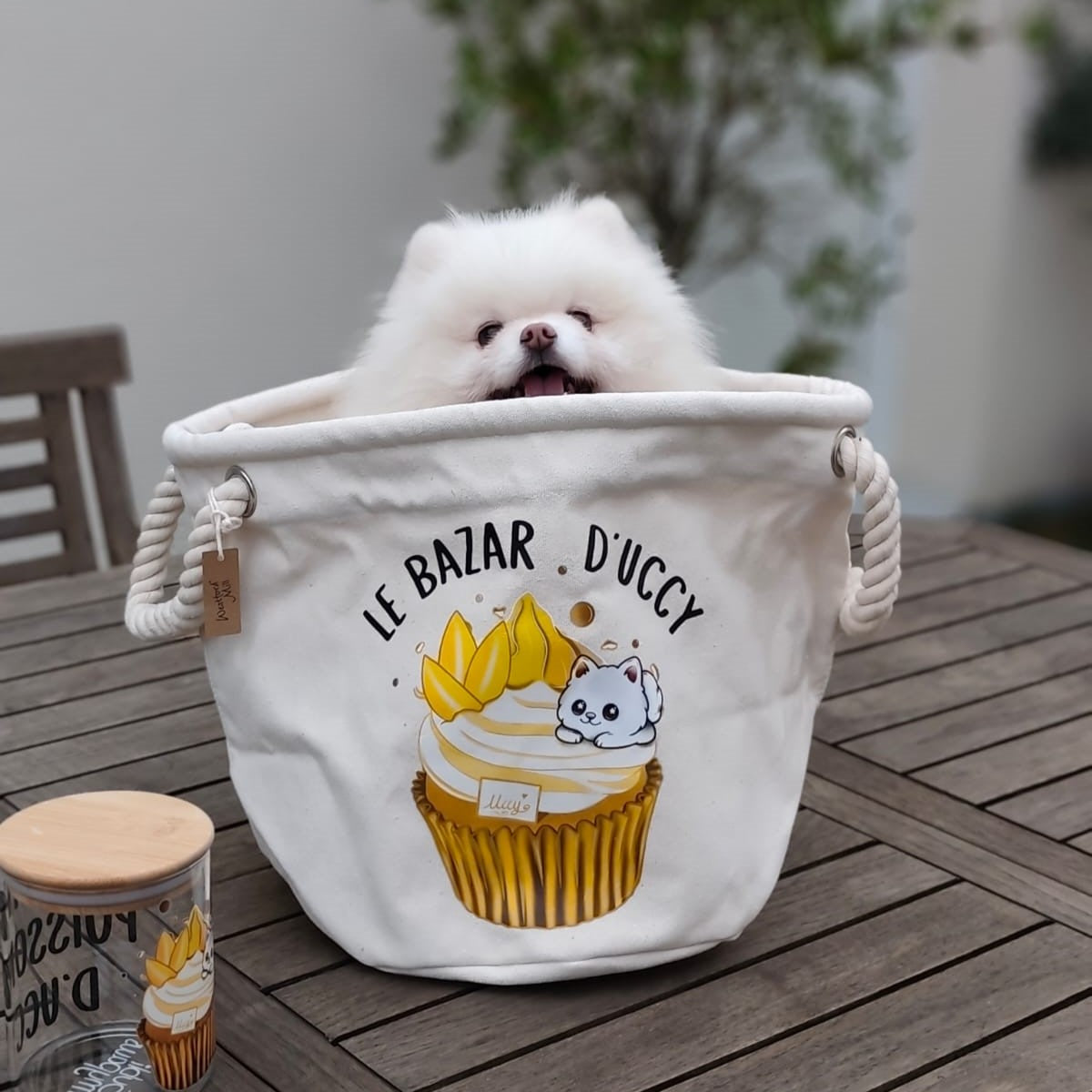 Le sac à jouets de votre boule de poils ! 