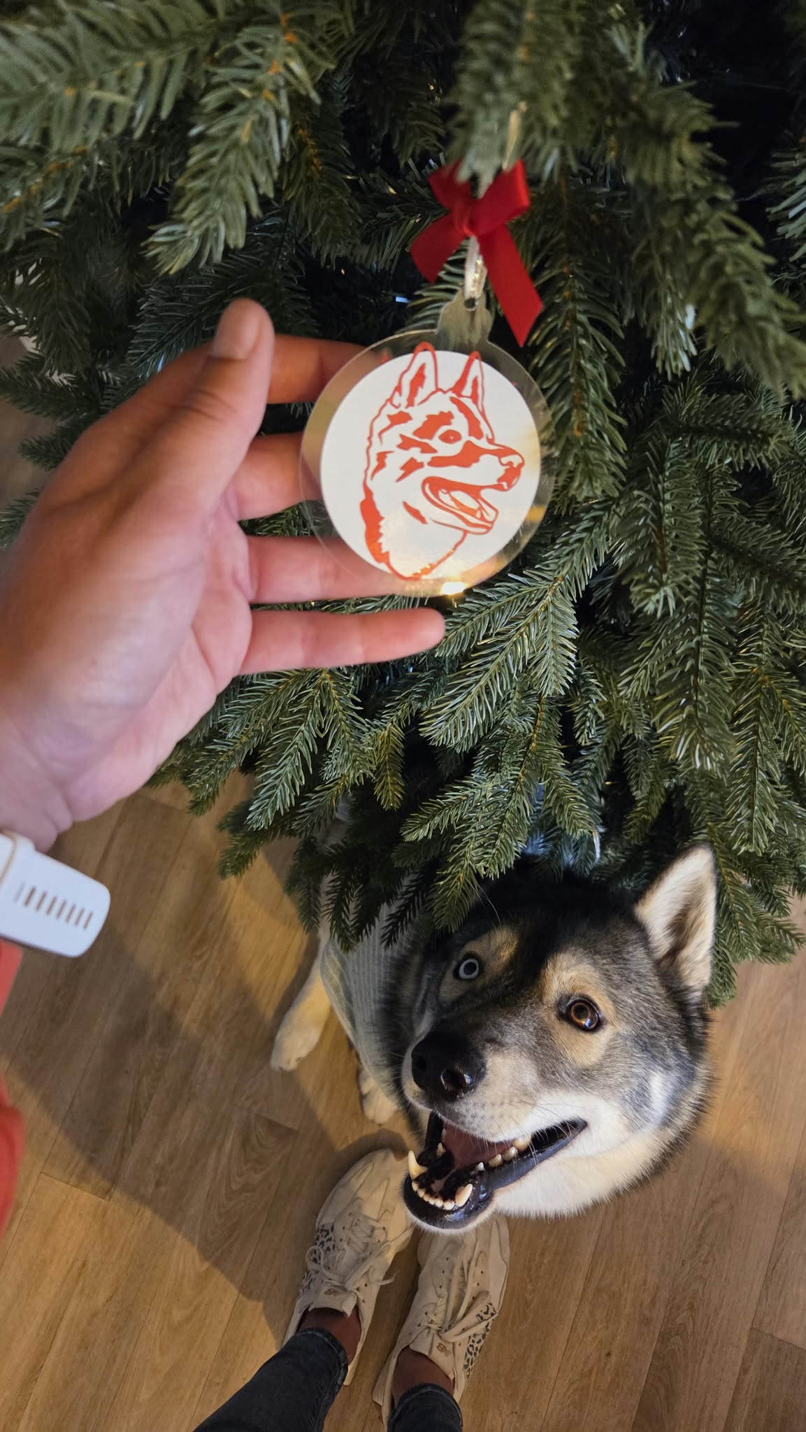 Boule de Noël unique à l’effigie de votre compagnon 🐾
