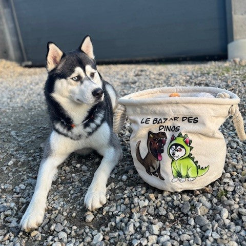 Le sac à jouets de votre boule de poils ! 