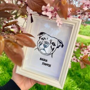 🖌️ Illustration encadrée 🖌️